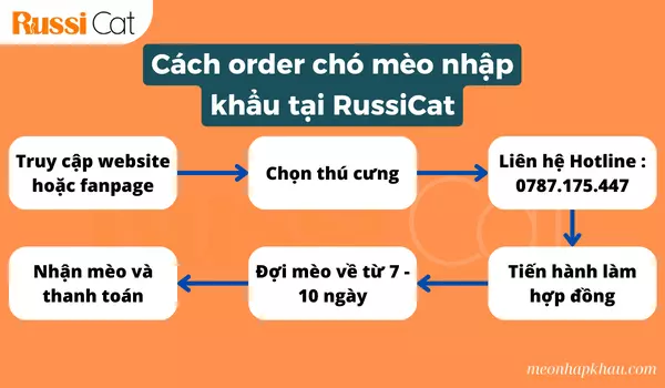 Chương Trình Chào Trung Thu: "trung Thu Này Bạn đã Có Quà Chưa?"